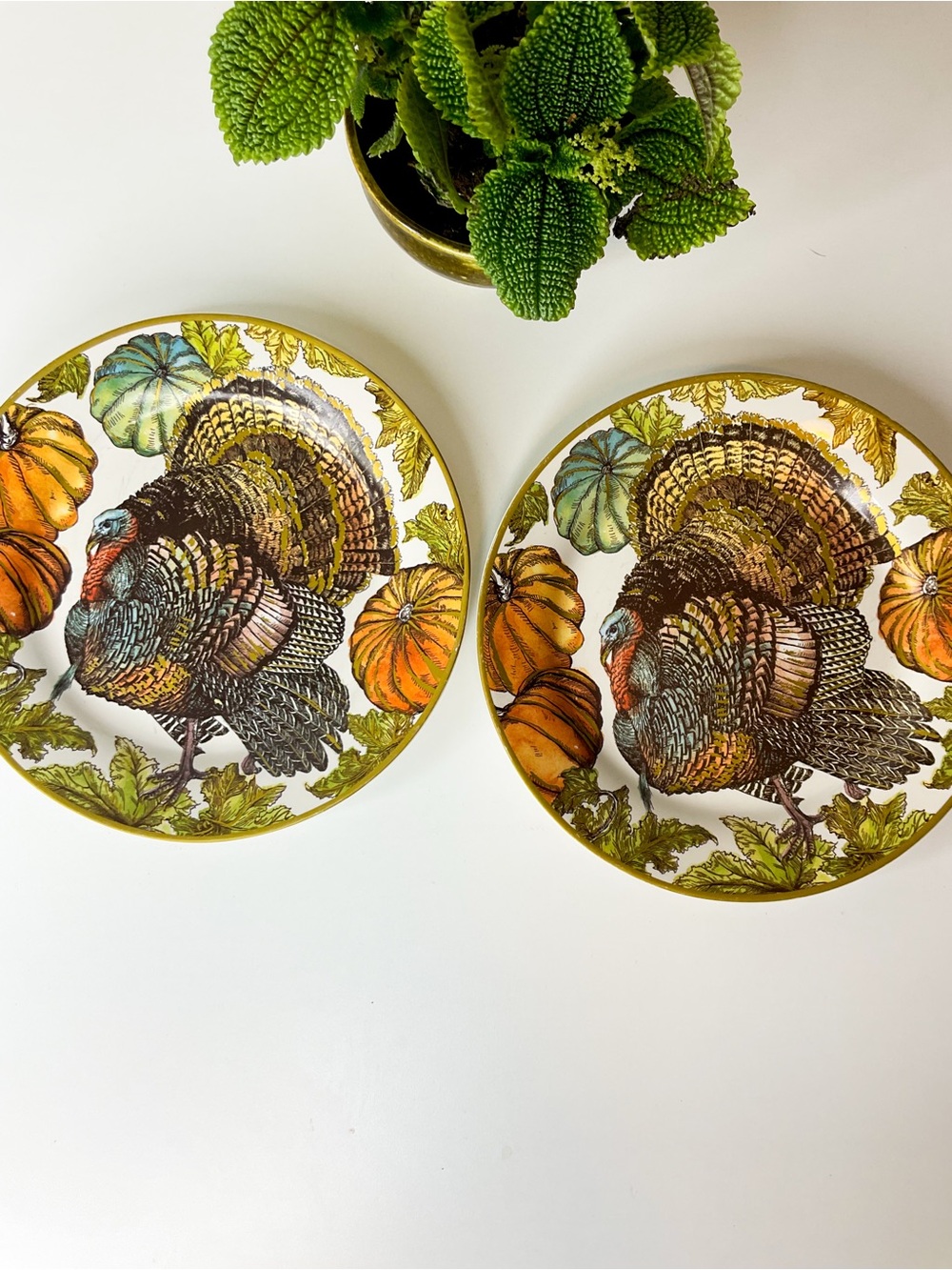 POTTERY BARN Turkey Dinner Plates - Autumn Harvest Stone Salad Plates